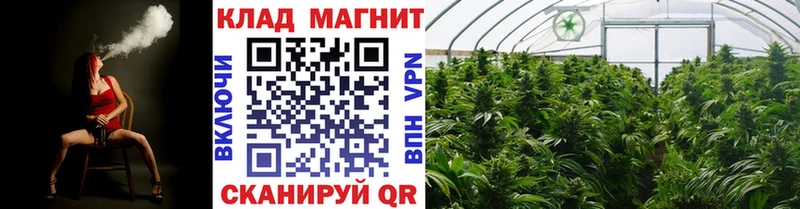 ГАШИШ Дубна