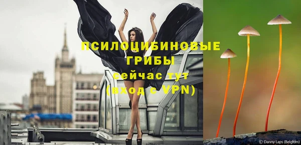 гидропоника Абдулино