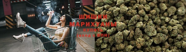 соль ск Алексин