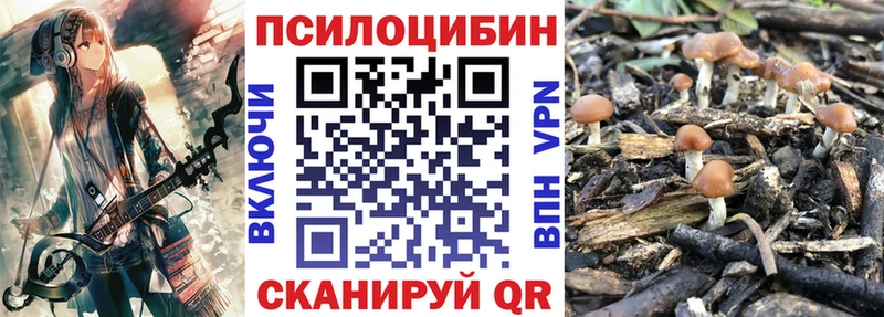 Галлюциногенные грибы ЛСД  Дубна 