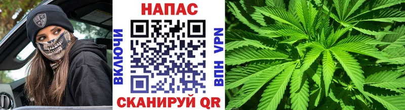 Канабис марихуана  Дубна 